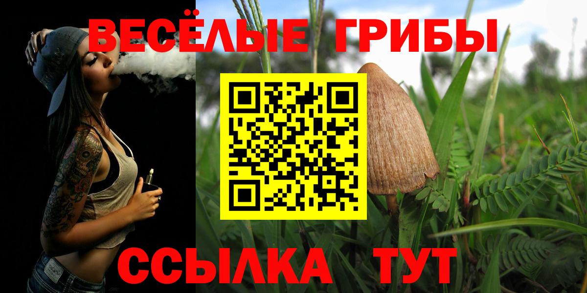 Галлюциногенные грибы GOLDEN TEACHER Аргун
