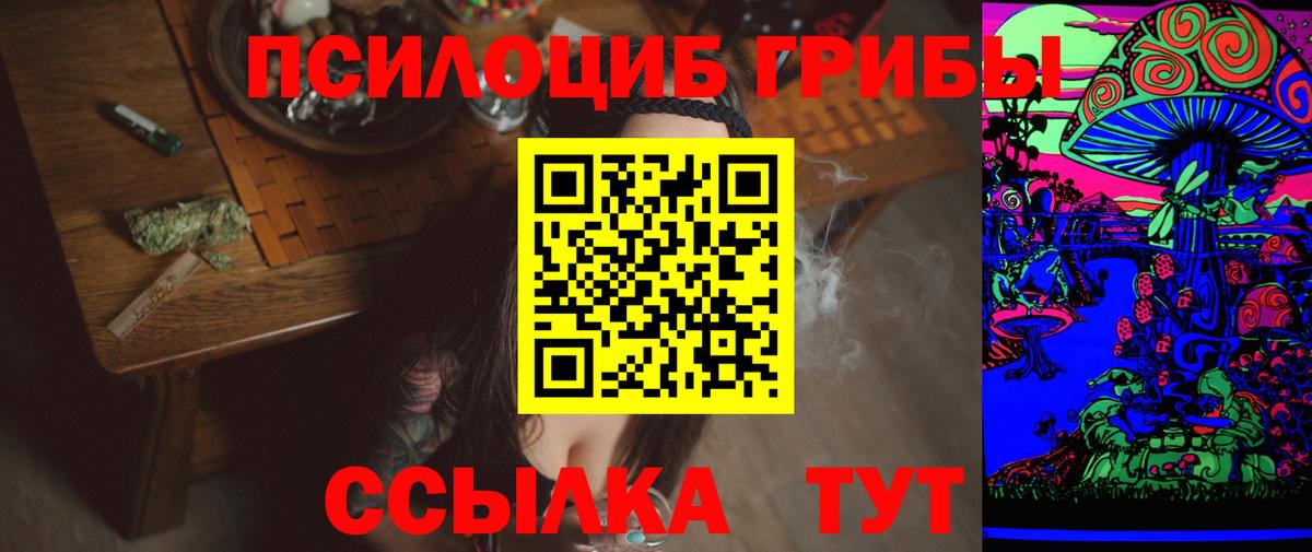 Псилоцибиновые грибы Psilocybe  Галлюциногенные грибы ЛСД  купить   Аргун  Вход с VPN 